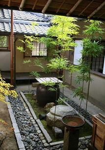 秘密的庭院教学视频